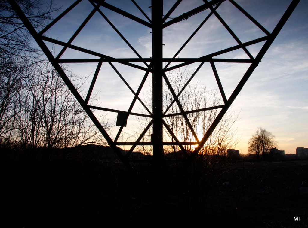 Strommastbein, power pole, Deponie Puchheim, 03/2011, (MT) by MT-Puchheim