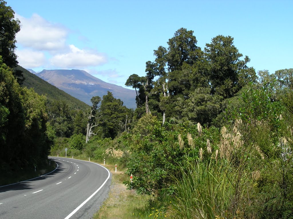 First view of flat volcano Mt. Tongariro by Tomas K☼h☼ut