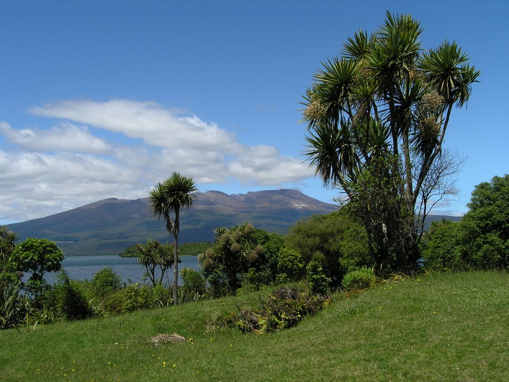 Lake Rotoaira and distant volcanos of NP Tongariro by Tomas K☼h☼ut