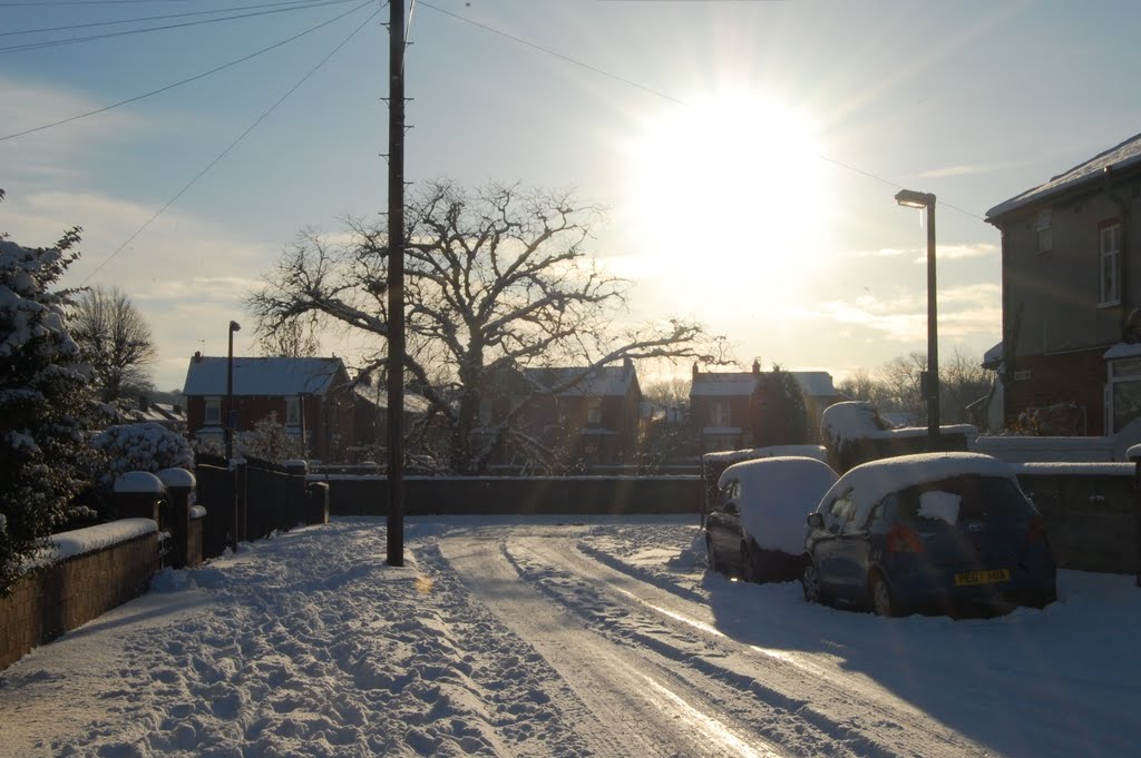 Snowy neighbourhood by Laura_C