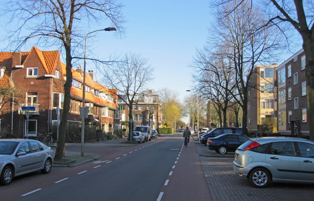 Delft, 19 march 2011, Westplantsoen bij de Isaac Hoornbeekstraat richting de Higo de Grootstraat by Aad (A.F.) Huf