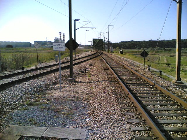 Estação de comboio Bifurcação de Lares: Linhas by jomirife