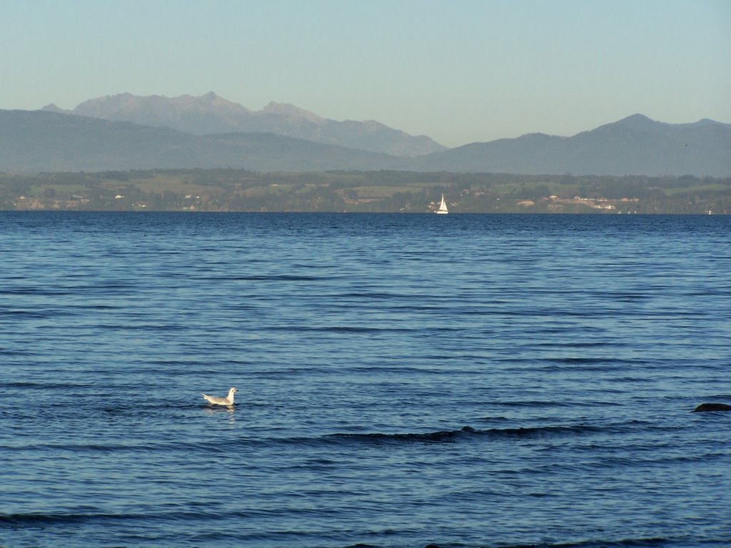 Lago llanquihue (iansa) by Patricio Rodriguez T.