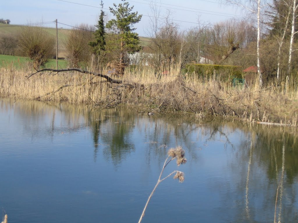 Baum über einem See 20110323 by sgutsch