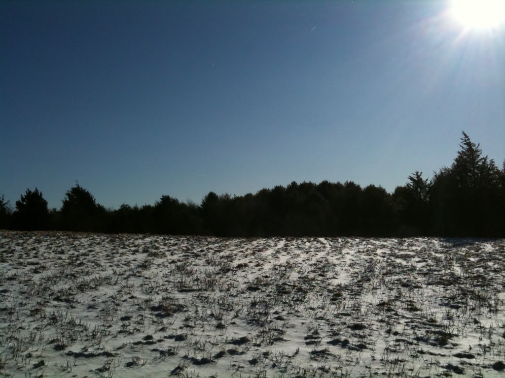 Beautiful snowy field by Traveler9