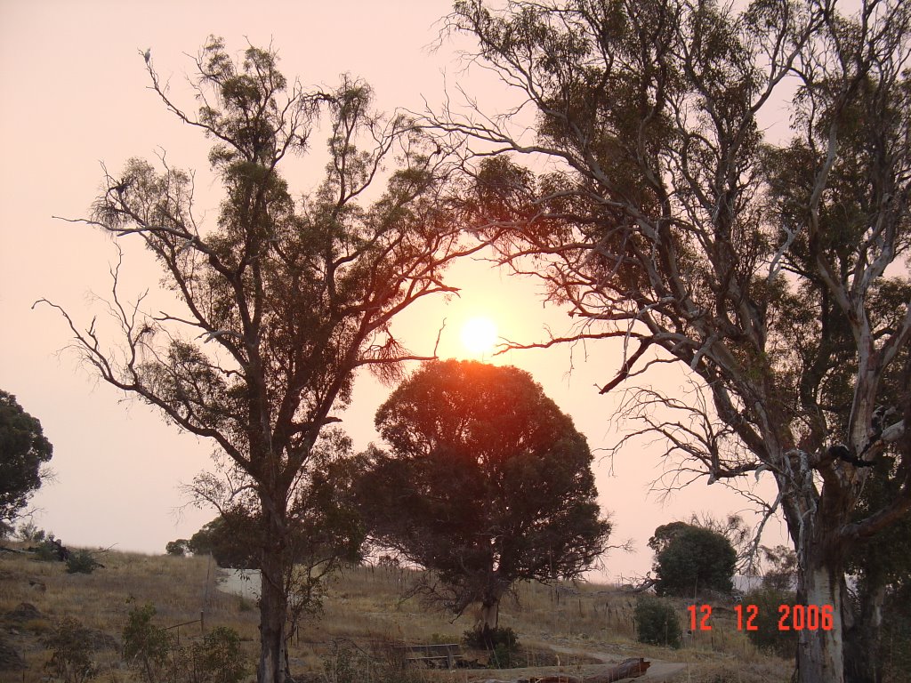 Cooleman Ridge, Chapman ACT by V.J. Munslow