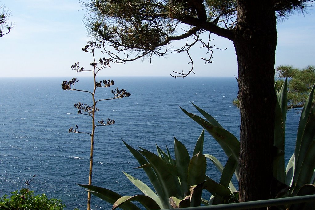 Botanic Garden Blanes by Jan Lefers