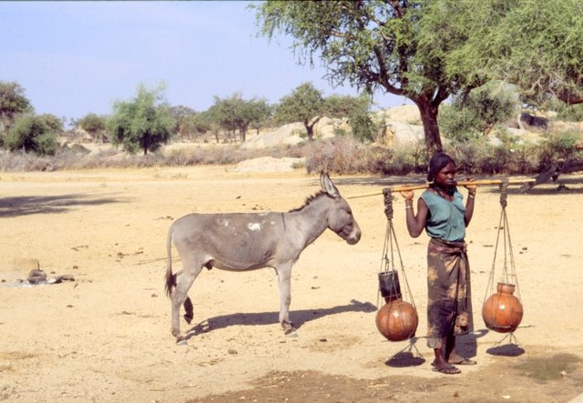 Oasis au Ouaddai Tchad by Gung