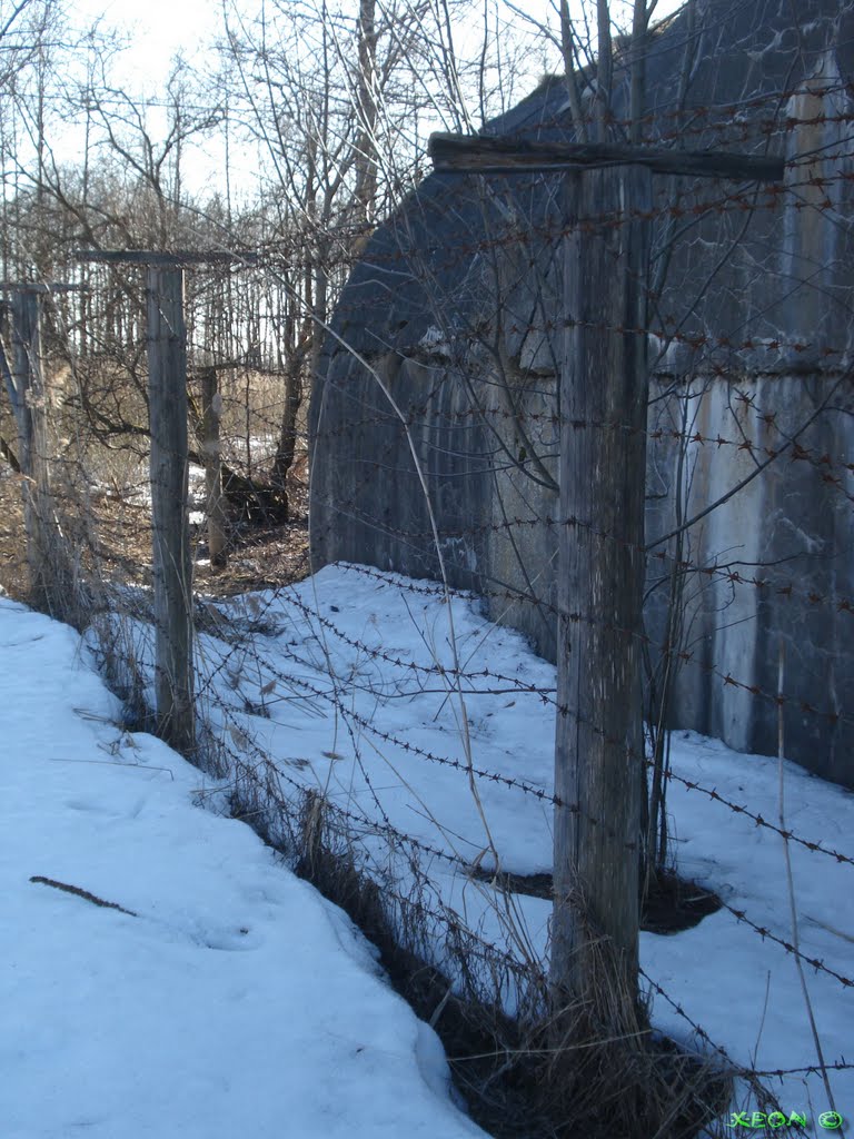 Barbed Wire Fence - Spring 2011 by ---=XEON=---