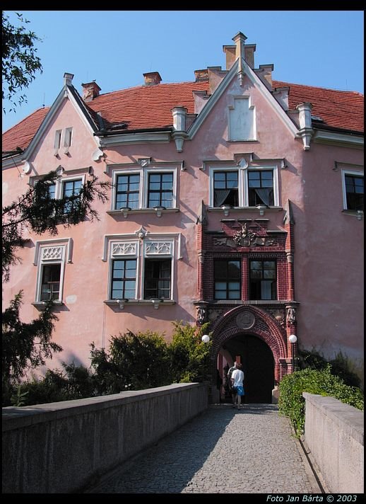 Vrchotovy Janovice - castle by barta.jan