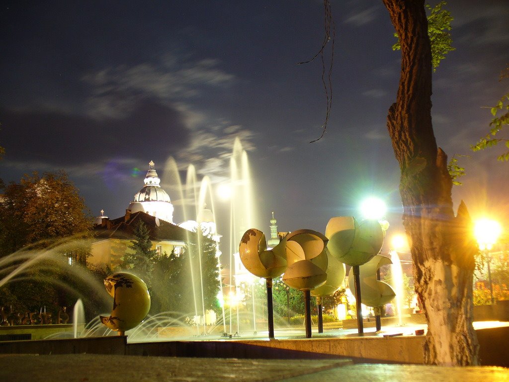 Tg. Mures - Orthodox church on Roses square at night by jeffwarder