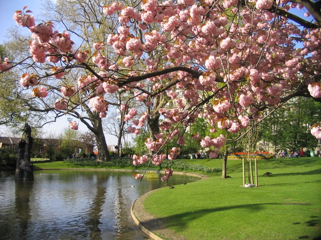 Parc des Batignolles by szakszondora