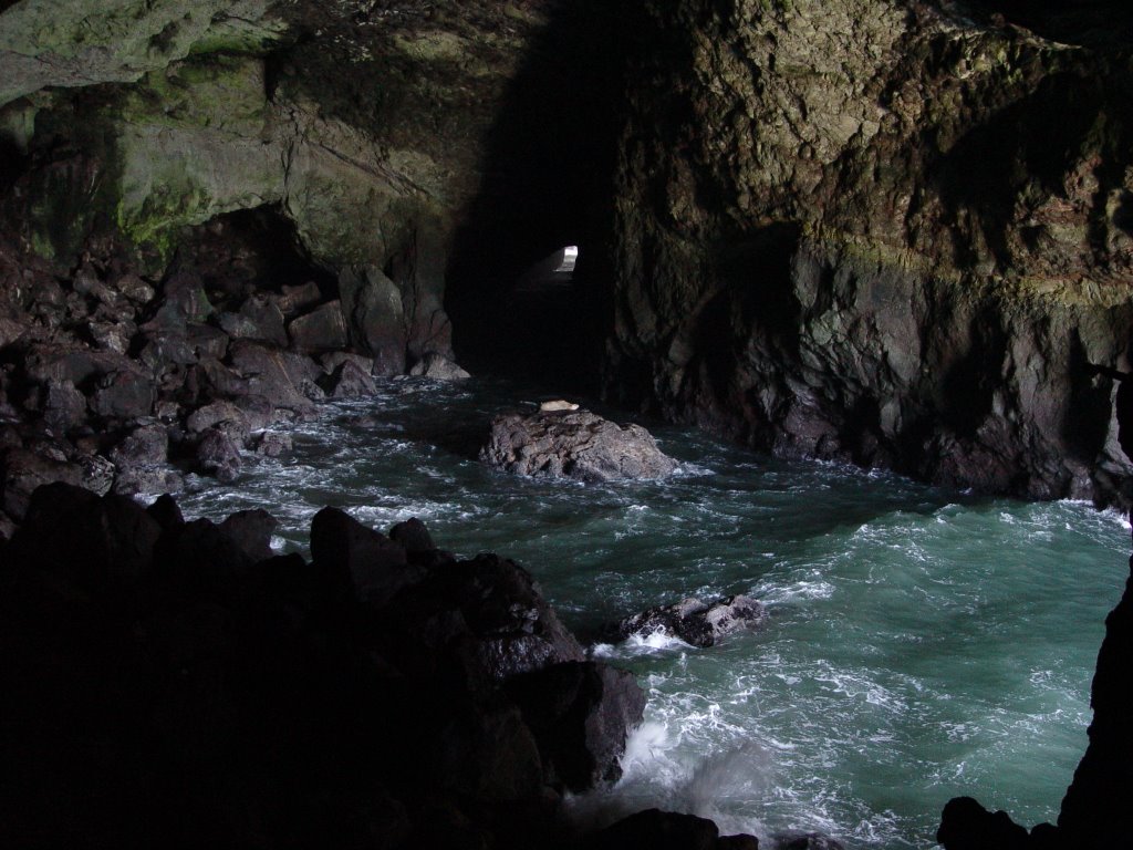 Sealion Cave by Perry Tang