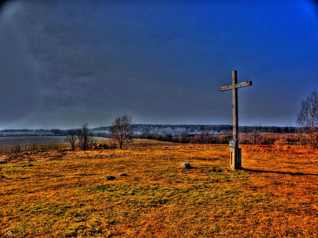 Gipfelkreuz auf dem Hagelberg (201m) by olafju