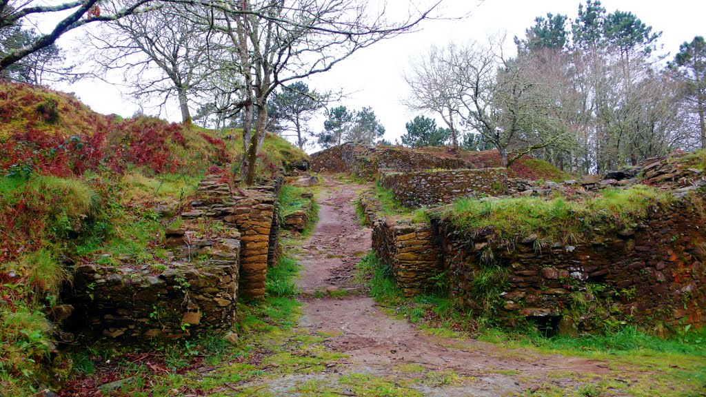 Entrada do castro de Borneiro by Nemio