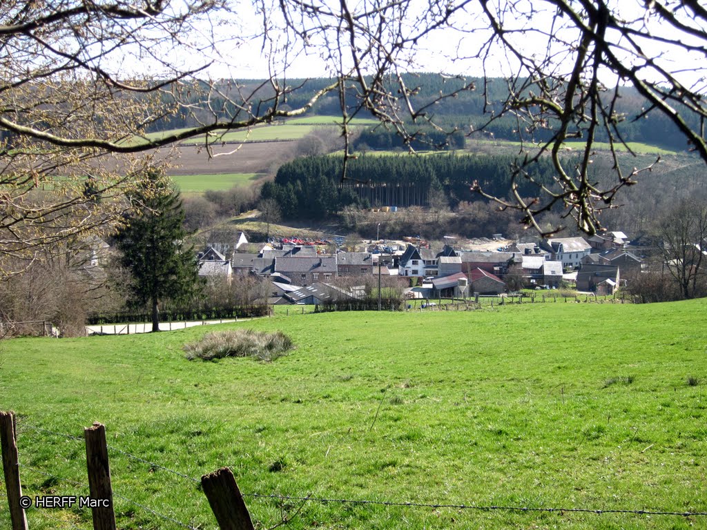 La Reid: Blick auf Winamplanche by Wandern in Ostbelgien