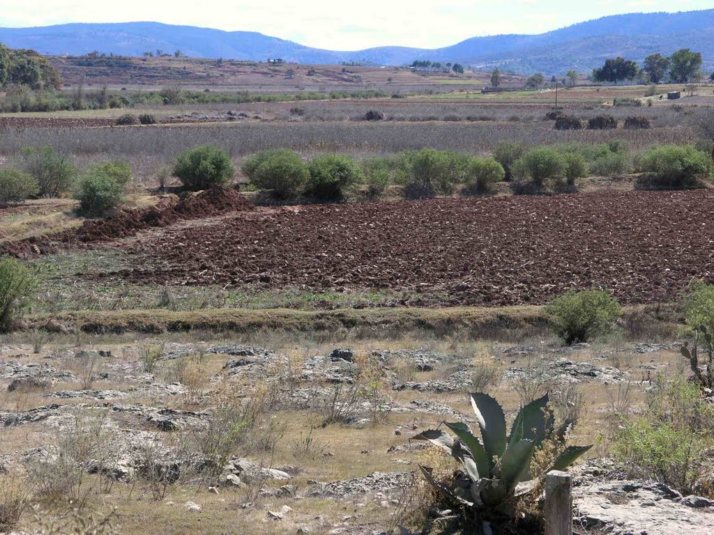 Cerca de Yodocono (Región Mixteca), Oaxaca, Mexico by Lon&Queta