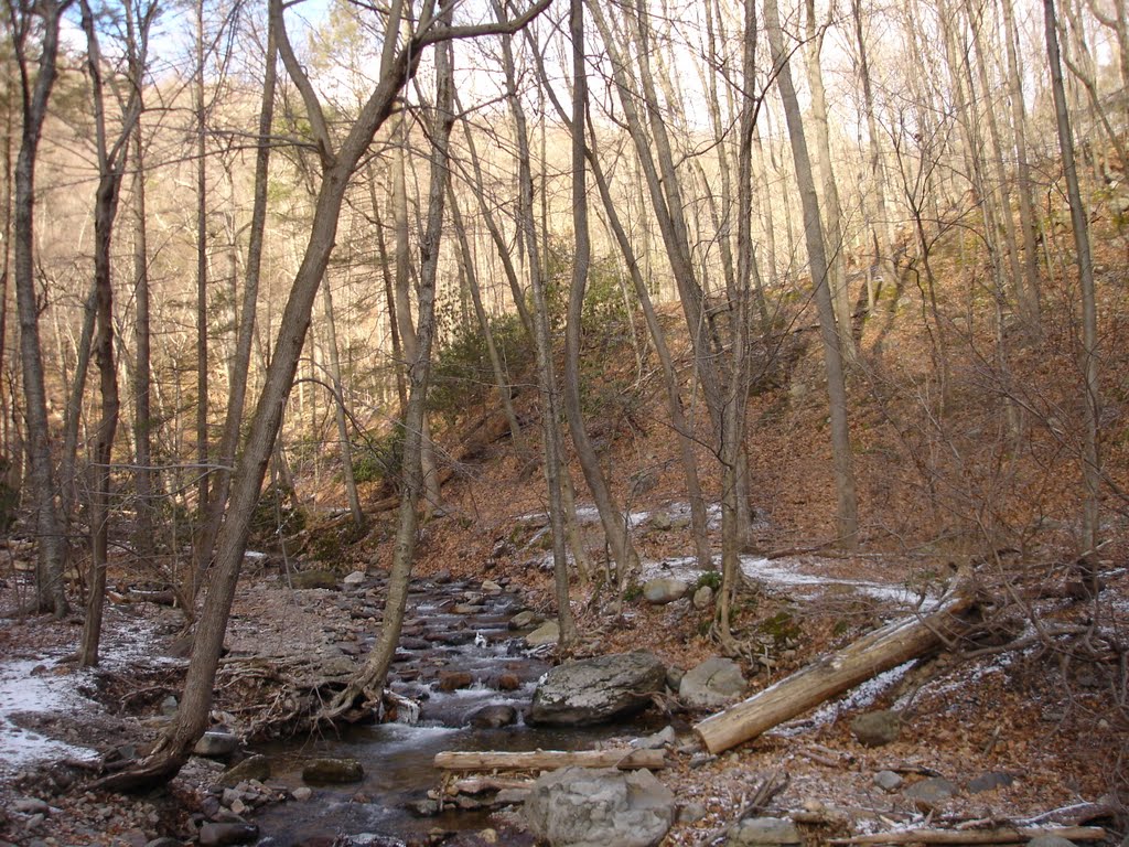 View from wooden bridge near rest stop by noble