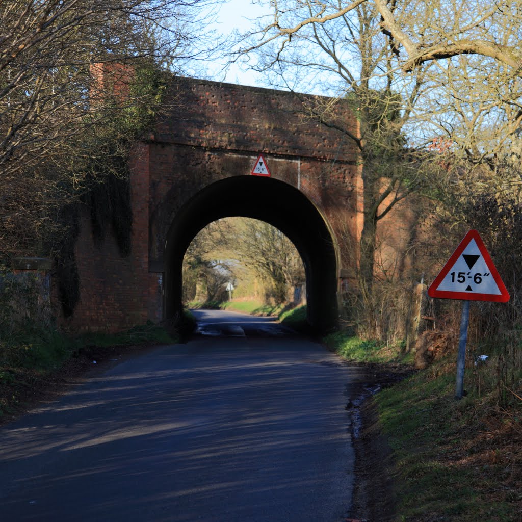 Rail Bridge, Pale Lane by QuentinUK