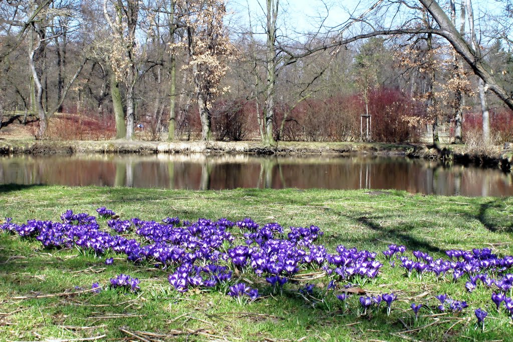 Park Stromovka by fotopepa