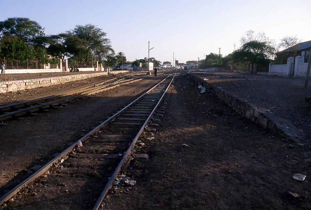 Ferrovia addis abeba-gibuti (awash 1996) by gianni pofi