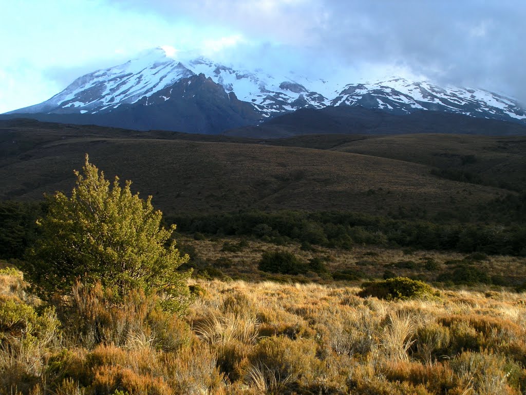 NP Tongariro, Mt. Ruapehu in black light by Tomas K☼h☼ut