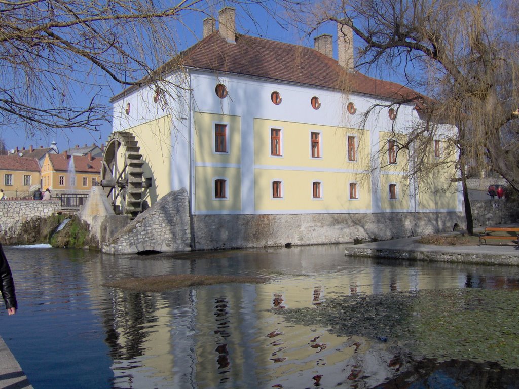 Tapolca city famous lake, with the hostel...The water wheel works yet.. by Imre Lakat