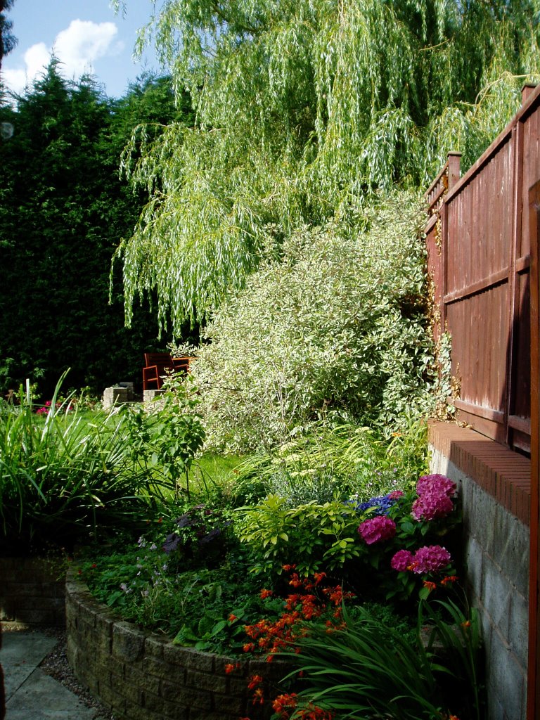 Nuestro jardín, Melton Mowbray, Leicestershire by Sergio Goicoechea