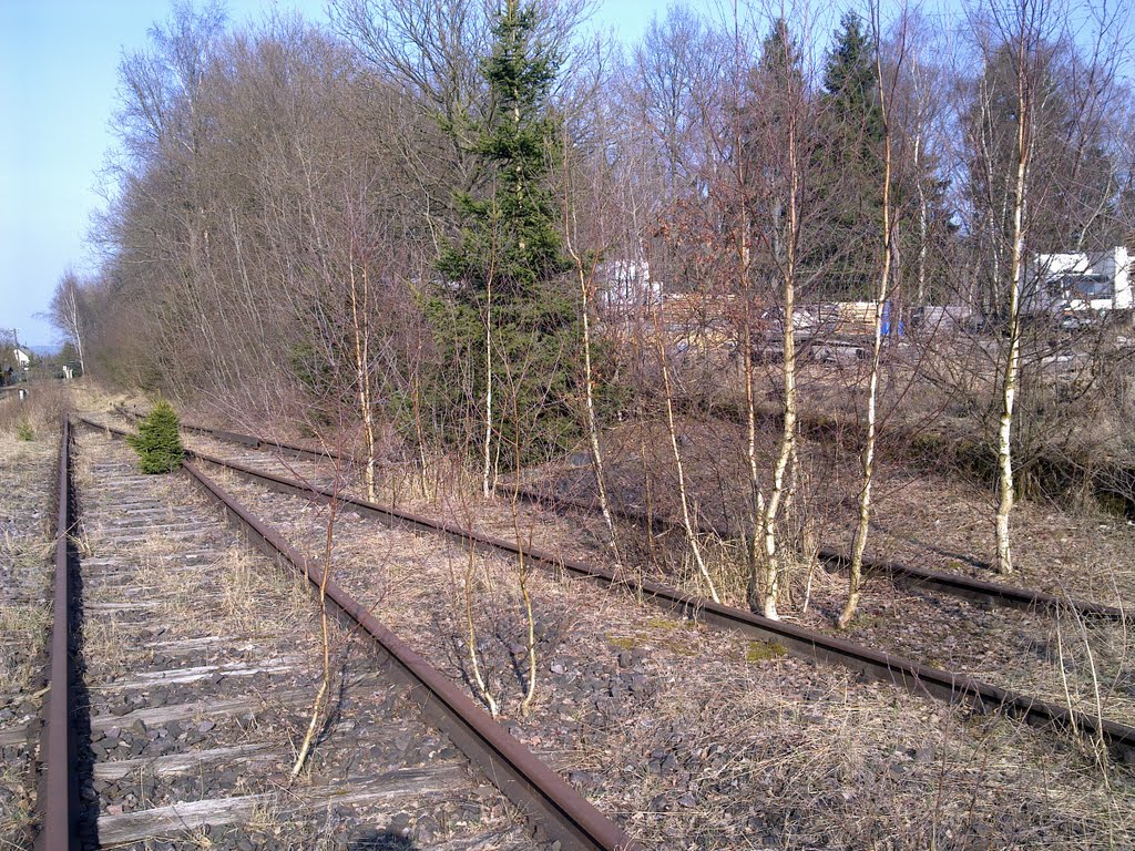 Around former BW Munitionshauptdepot Rheinböllen 14 / 20 Bahnhof Ellern by mannheim