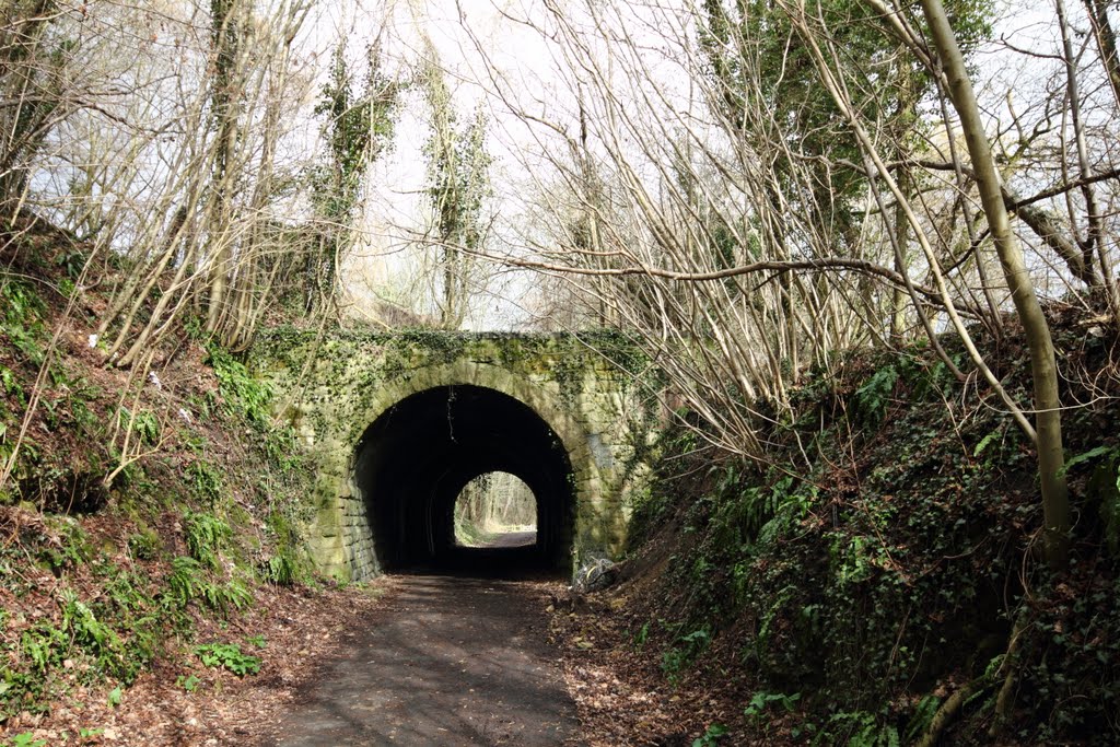 Empty Tunnel by syd rhodes