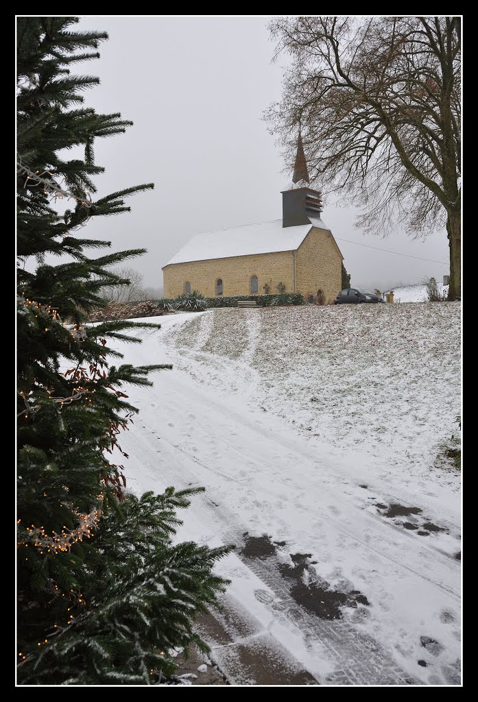 (janvier 2010 Williers, Ardennes) by Nick Ad@ms