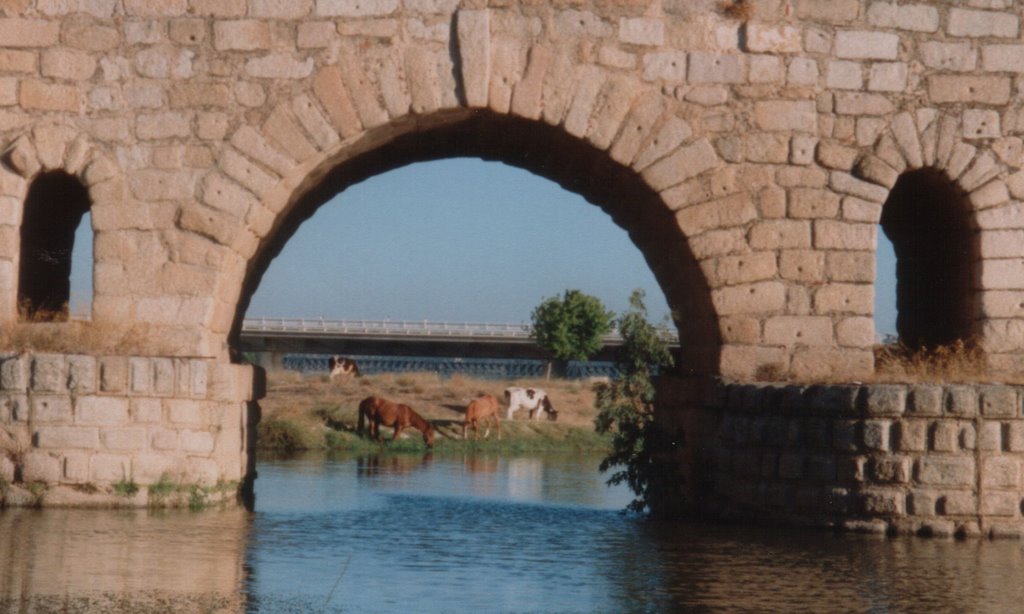 Arco puente romano by javiesol