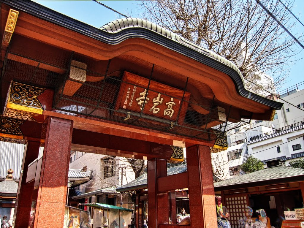 高岩寺 (Kogan-ji Temple as known as Togenuki Jizo) by rikipoco