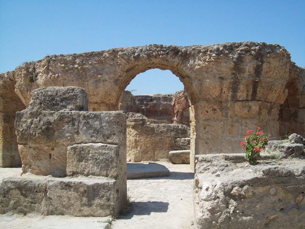 TUNISIA - CARTAGINE - LE PHENIX DE CARTHAGE by enneeffe