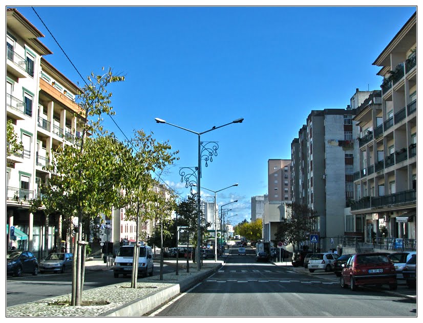 Avenida Bento de Jesus Caraça by Barragon