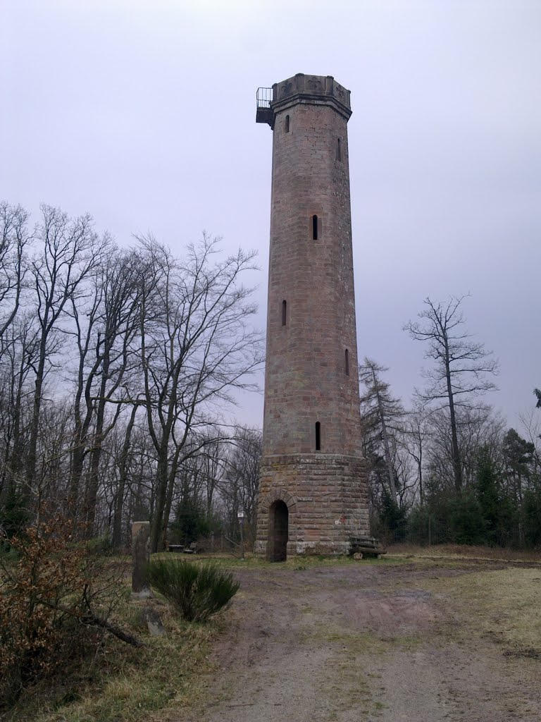 Eschkopfturm by mannheim