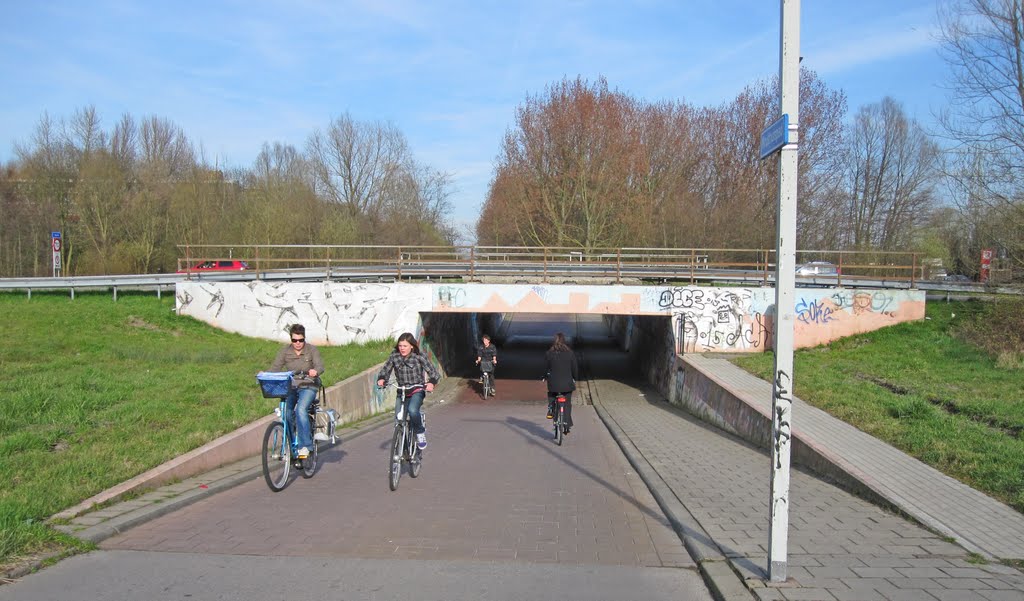 Delft, 24 march 2011, Fietstunnel onder de provinciale weg door richting de Voorhof by Aad (A.F.) Huf