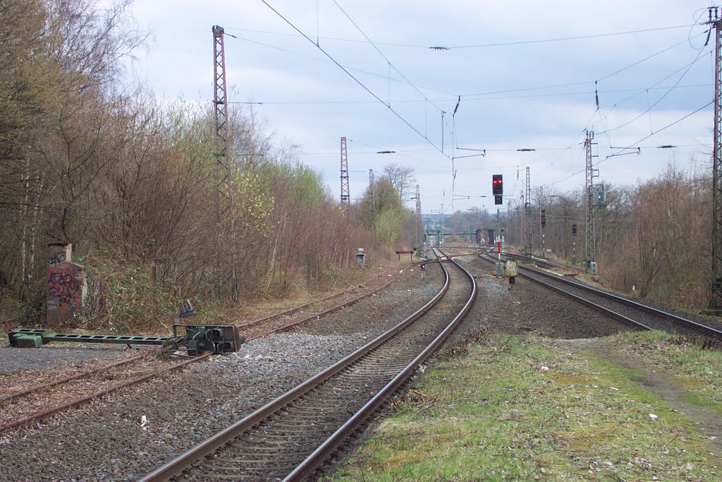 Hauptsperrsignalleiche und Ausfahrsignale by Hurrug