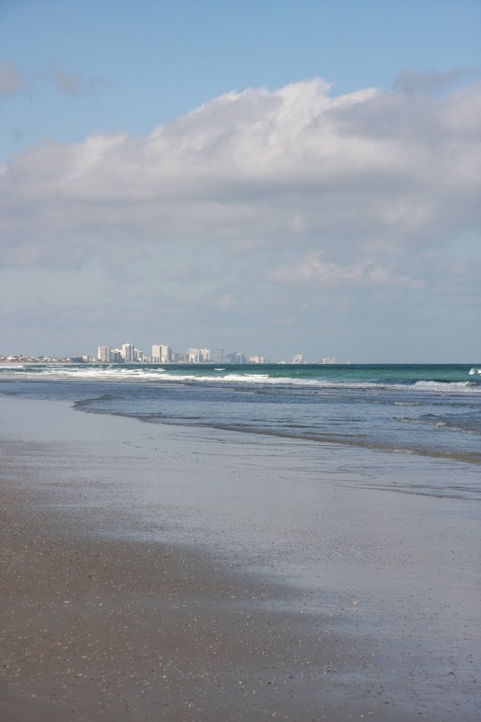 Ponce Inlet Beach by Michele Canonico