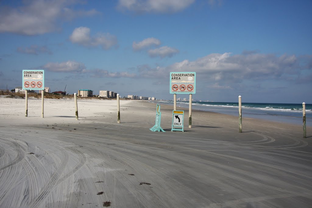 Ponce Inlet Beach by Michele Canonico