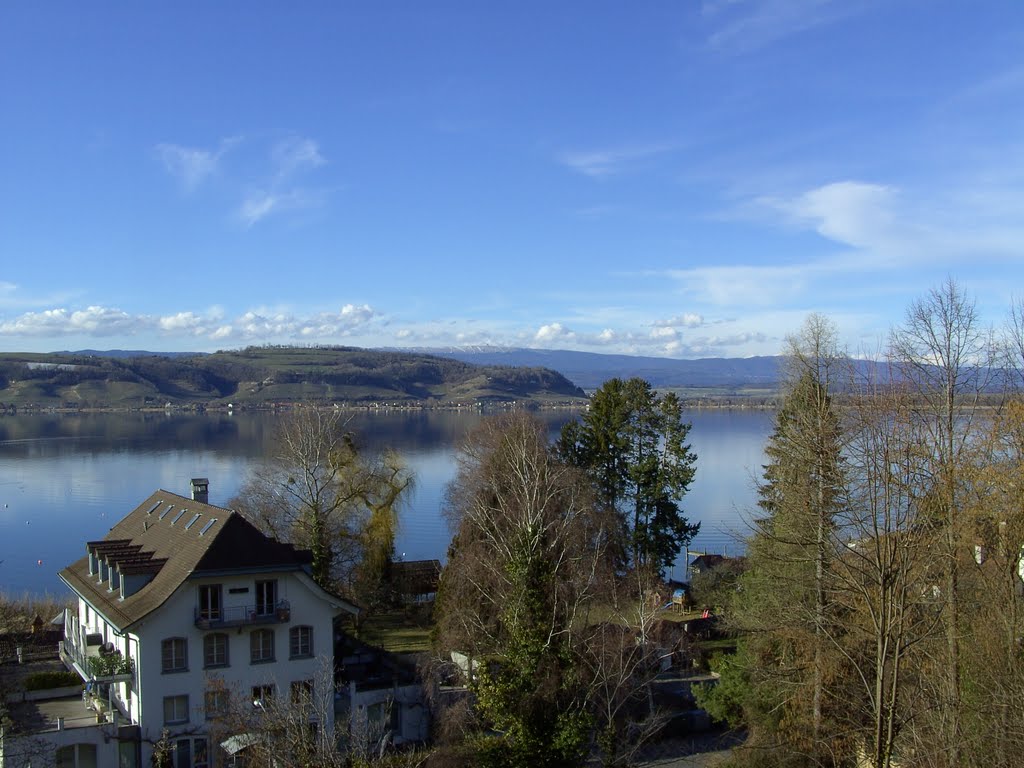 Panorama North over Lake Murten by Merz_René