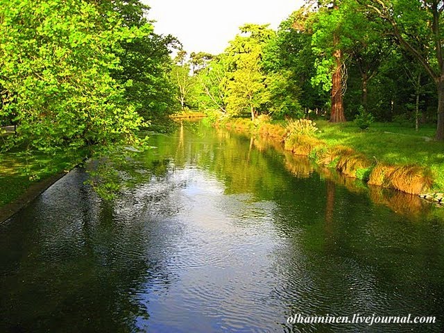 River Aivon in Christchurch Botenic Gardens by Olga Hanninen