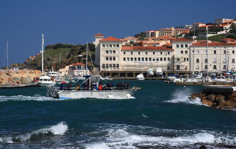 Banyuls, le port by Bruno_1977