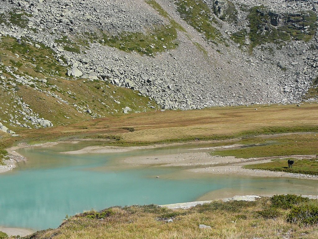 Lago rifugio Jervis by savina_b