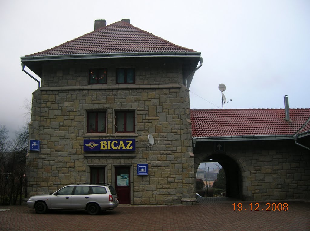 Bicaz C.F.R. railway station by raduconstantin