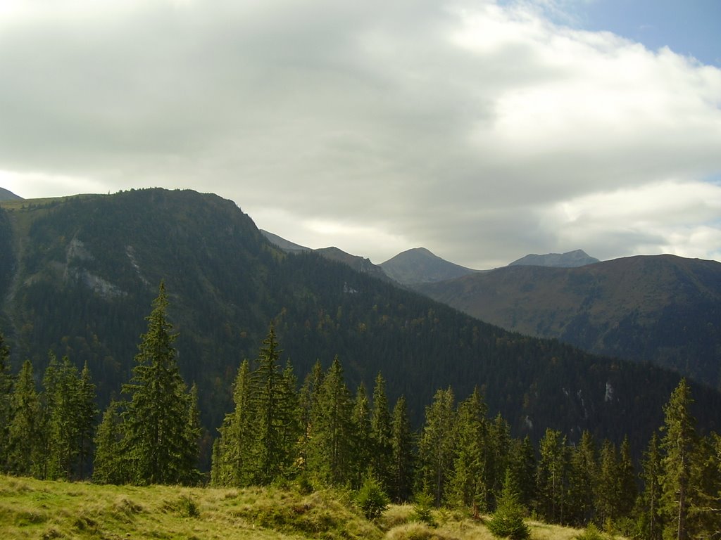 Radnai-havasok (Muntii Rodnei) by Bálint Anett