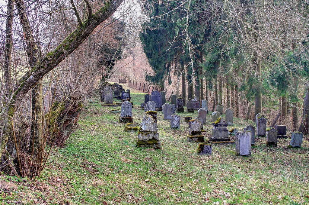 Jüdischer Friedhof Hamm/Sieg by Hermann-Josef Ammel