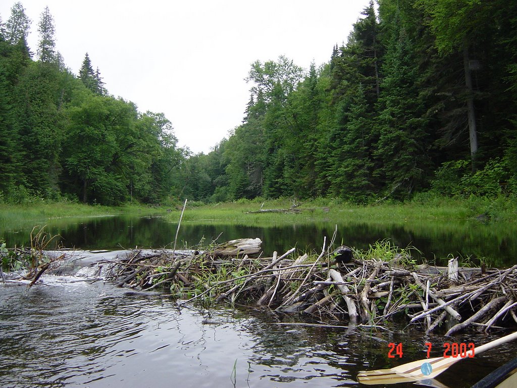 Canoeing La Maurice by Toni Guasch