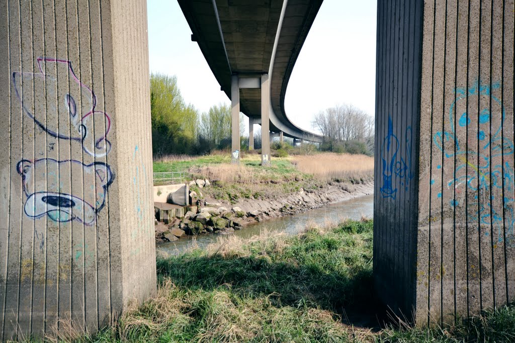 River rhymney & unfinished bear by fat-freddies-cat