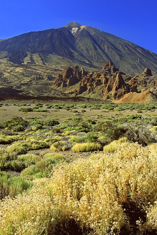 Teide y roques by Pablo López Ramos